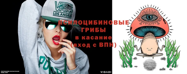 крисы Абдулино