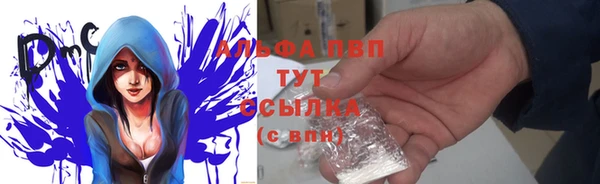гидра Абаза