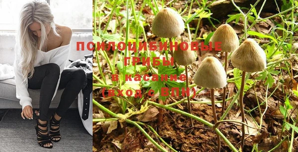 прущая мука Мегион