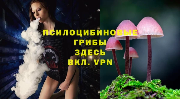 спиды Абинск