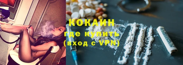 гидра Абаза