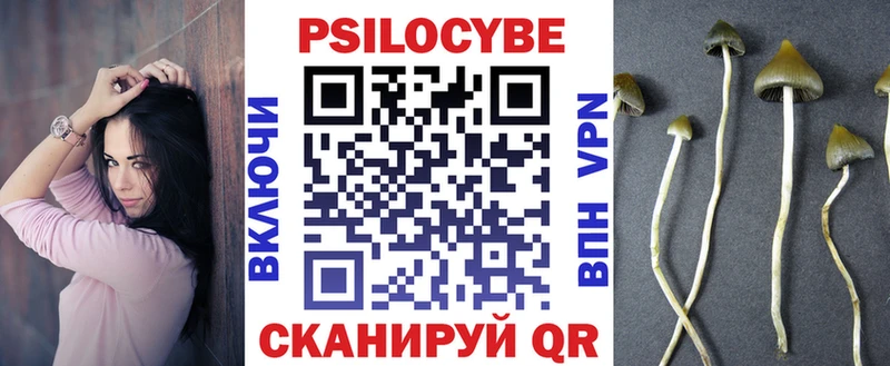 Галлюциногенные грибы Cubensis  магазин продажи наркотиков  ОМГ ОМГ как войти  Щёлкино 