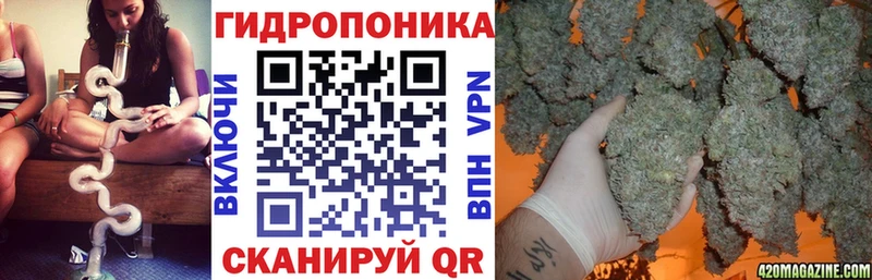 Бошки Шишки Amnesia  Щёлкино 